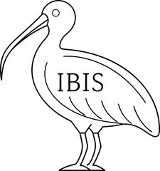 Line Art Ibis Bird, Minimalist Style, Isolated Design, Transparent Background