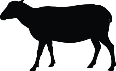 Obraz premium Black Sheep Silhouette, Standing Profile View On Transparent Background Isolated