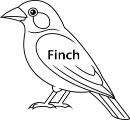 Isolated Finch Bird Line Art on Transparent Background, Finch Outline