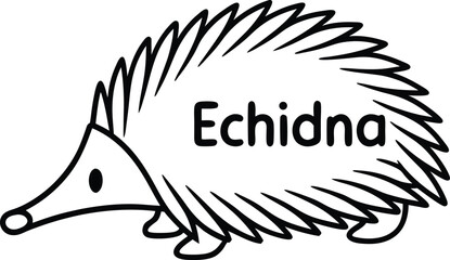 Cartoon Echidna Design on Transparent Background With Simple Black Outline