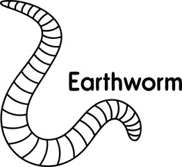 Earthworm on White Background Outline Style Simple Line Art