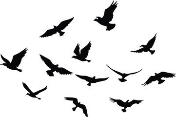 Obraz premium Flying Birds Silhouette, Flock of Birds in Flight, Transparent Background, Black Silhouettes
