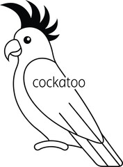 Line Art Cockatoo Minimalist Outline Drawing with Transparent Background Design