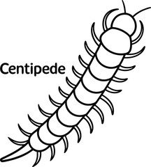 Outline Centipede with Many Legs on Transparent Background