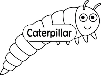 Cartoon Caterpillar Outline Drawing with Smile and Transparent Background