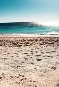 Tropical fruit platter featuring fresh mango and black sapote by the beach on a sunny day