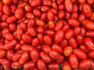 トマトのアイコ