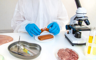 Examine meat in the laboratory. Selective focus.