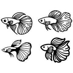 Guppy Fish Sketch Drawing.