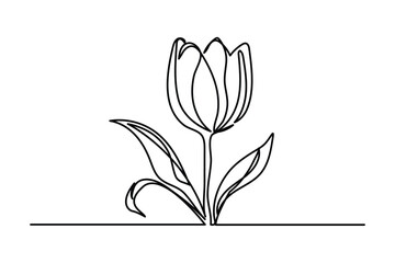 Tulip one line drawing.Abstract flower continuous line. Minimalist contour drawing of tulip. Continuous line drawing of flower tulip.Hand drawn sketch of flower with leaves.