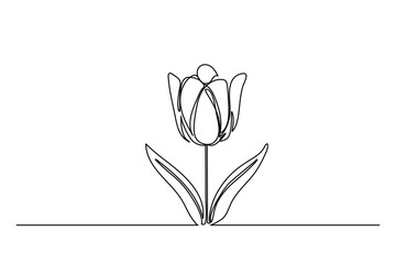 Tulip one line drawing.Abstract flower continuous line. Minimalist contour drawing of tulip. Continuous line drawing of flower tulip.Hand drawn sketch of flower with leaves.