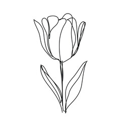 Tulip one line drawing.Abstract flower continuous line. Minimalist contour drawing of tulip. Continuous line drawing of flower tulip.Hand drawn sketch of flower with leaves.