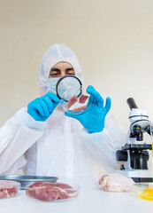 Examine meat in the laboratory. Selective focus.