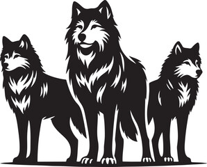 black and white wolf