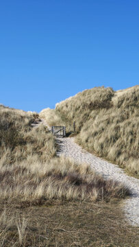 Weg zum Strand durch die D&uuml;hnen