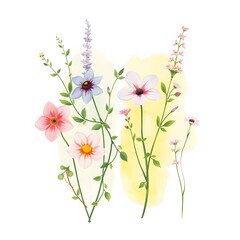 Delicate Watercolor Floral Bouquet Illustration with Pastel Colors and Soft Botanical Details                           