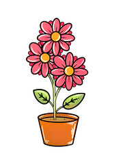 flower in a pot