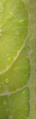 Close-up view of juicy green lime slices with glistening water droplets, showcasing their vibrant color and fresh texture.
