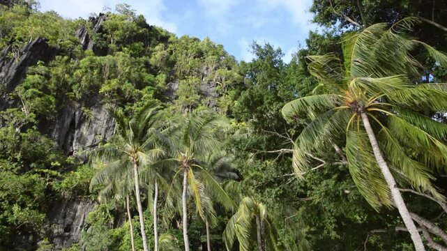 Tropical paradise with crystal waters El Nido Island