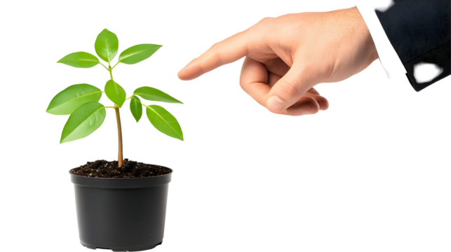 Illustration Of A Hand Pointing At A Young Green Plant In A Pot With Transparent Background