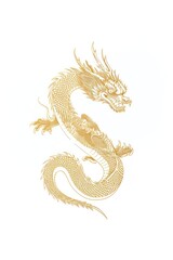 Chinese dragon gold white background calligraphy.