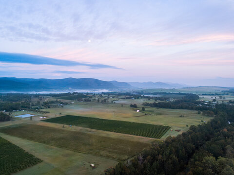 Vineyards in paddocks and farmland to hills in Hunter Valley wine region with moon in predawn sky