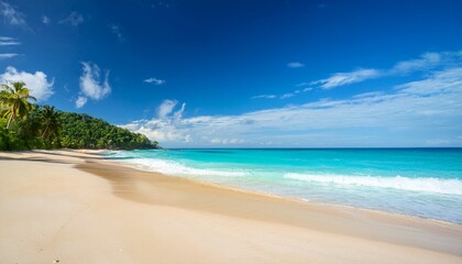 imagine a stunning tropical beach with golden sands clear blue waters sunny skies and lush greeneryits the perfect spot for adventure and relaxation promising unforgettable memories