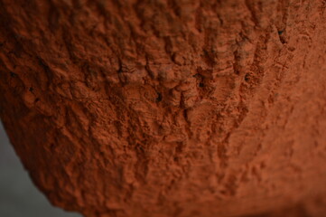 Big tree skin texture close photo
