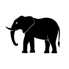 Elephant Vector 