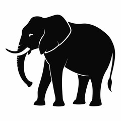 Elephant Vector