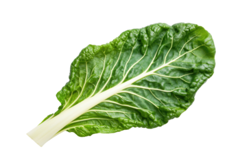 Fresh green swiss chard leaf on black background highlighting vibrant color and texture, cut out