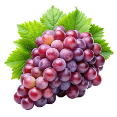 Fototapeta premium bunch of grapes isolated on white