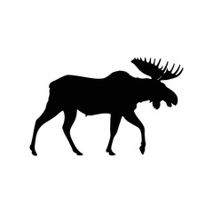 A black and white vector illustration of a female moose moving through the wilderness with grace on a white background