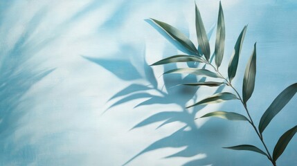 Blurred shadow of palm leaves on light blue wall. Abstract background.