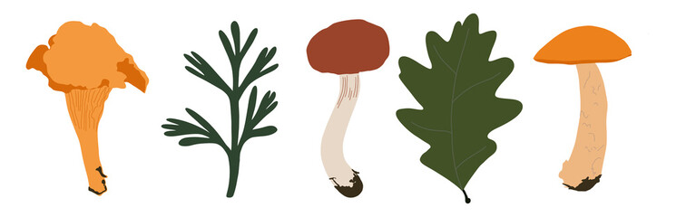 Fototapeta premium Green nature set on a white background. Hand-drawn illustration. Perfect for spring and summer. 
