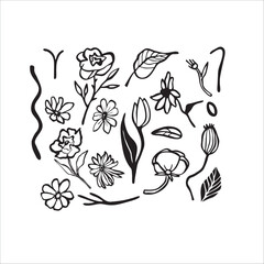 Obraz premium Vector set of flowers and leaves.