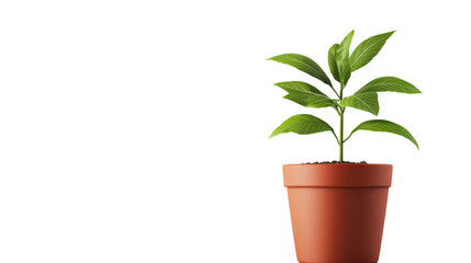 Obraz premium Growing plant in pot illustration, isolated on black background, cut out transparent