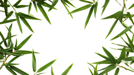 Fototapeta premium Frame of bamboo leaves against a black background, cut out transparent