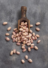 Wooden scoop full of dried pinto beans on gray top view. Traditional Latin American legumes