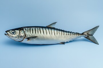 Naklejka premium A fresh raw fish resting on a simple light blue backdrop