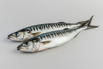 Naklejka premium Two Freshly Caught Fish Laying on a Simple Gray Surface