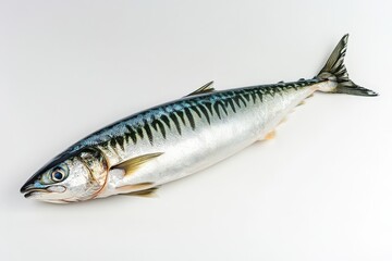 Naklejka premium A whole freshly caught fish isolated on a bright white surface