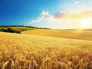 Fototapeta premium Golden wheat field at sunrise with blue sky and distant hills