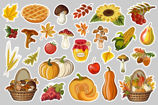 Gifts of autumn in stickers.Vector collection of stickers and decals with autumn fruits, mushrooms and leaves.