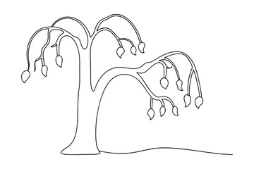 Weeping Tree Line Drawing Sad, Drooping Branches, Autumn, Fruit, Nature