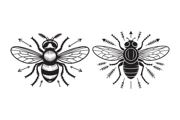 bee Black and White Vector