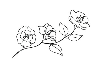 Elegant Line Art Camellia Branch Botanical Floral Design Illustration