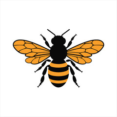 Vector illustration of a bee on a white background with close-up details showing its wings and yellow-black body