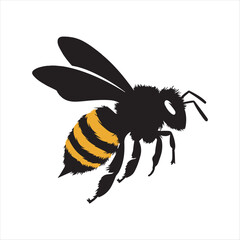 bee and honey
