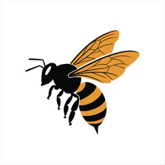Bee vector illustration on white background with detailed close-up of insect, wings, and yellow and black colors, capturing nature's small bug with a focus on honey and summer elements